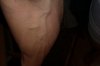 IMAG0747.jpg