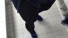 IMG_20160309_165442.jpg