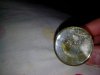 IMG_20160323_095932.jpg